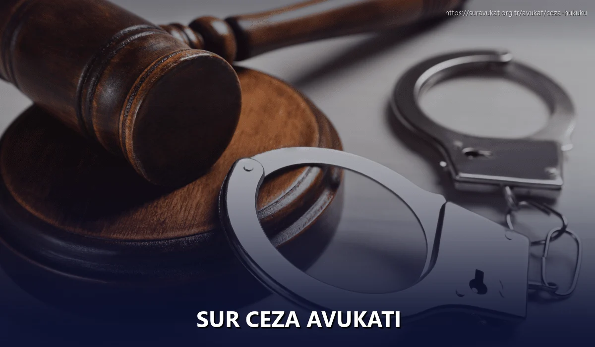 Sur Ceza Avukatı